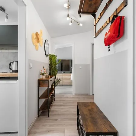 Apartamento Dg - Einfach Aber Sehr Komfortabel - Für Bis Zu 12 Personen - Gruppen, Messe, Monteure, Studenten - Voll Ausgestattet - 3 Smart-tv 55 Zoll Netflix, 1000 Mbit Wlan, Voll Ausgestattete Küche *