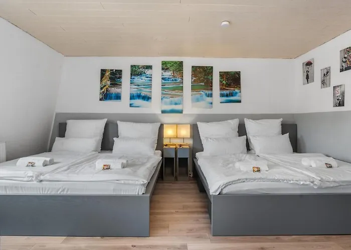 Dg - Einfach Aber Sehr Komfortabel - Fuer Bis Zu 12 Personen - Gruppen, Messe, Monteure, Studenten - Voll Ausgestattet - 3 Smart-tv 55 Zoll Netflix, 1000 Mbit Wlan, Voll Ausgestattete Kueche Lejlighed *